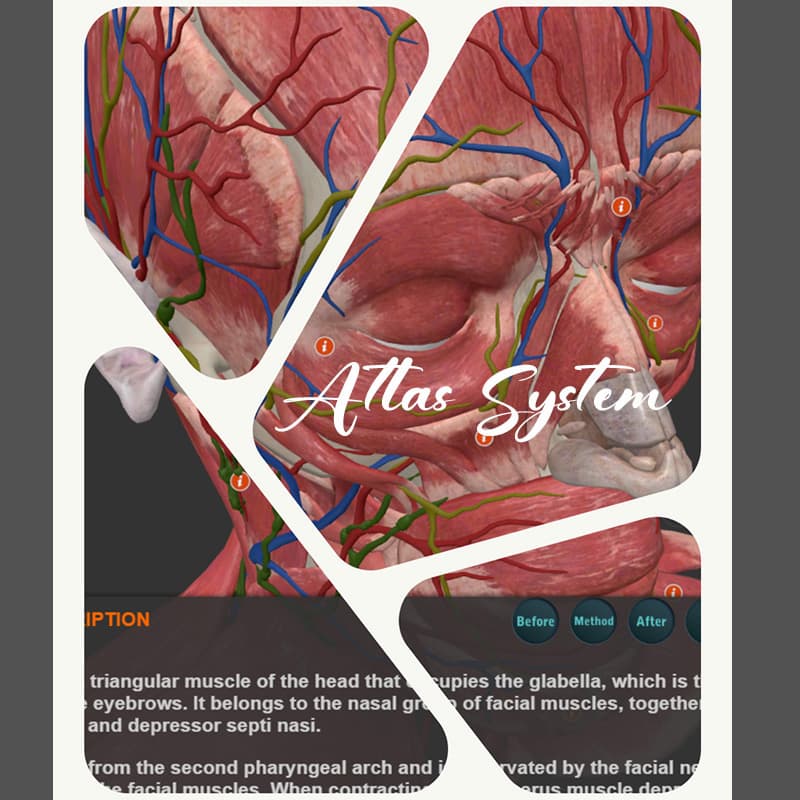 Atlas System